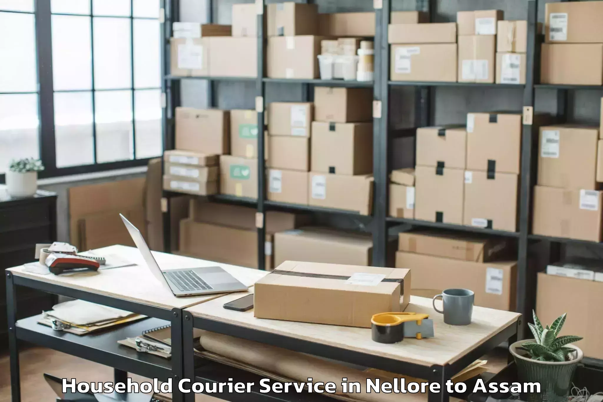 Top Nellore to Raha Household Courier Available